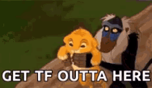 Get Out The Lion King GIF - Get Out The Lion King Comedy GIFs