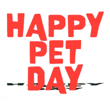 Happy Pet Day I Love My Pet GIF - Happy Pet Day I Love My Pet I Love My Dog GIFs