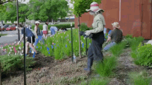 Gardeners At A University GIF - University Gardener Students GIFs