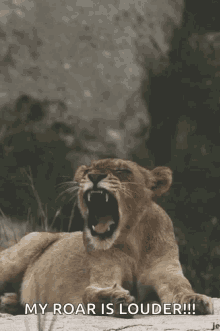 Lion Roaring GIF - Lion Roaring Roar GIFs