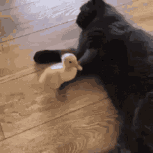 Destroyed Chick GIF - Destroyed Chick Cat GIFs