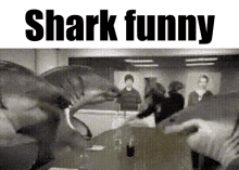 Shark Shark Funny GIF - Shark Shark Funny We Do A Little Trolling GIFs