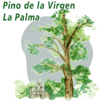 La Palma El Paso GIF - La Palma El Paso Pino De La Virgen GIFs