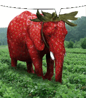 Strawberry Elephant Sticker - Strawberry Elephant Stickers