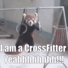 Fitness Crossfit GIF - Fitness Crossfit Cute GIFs
