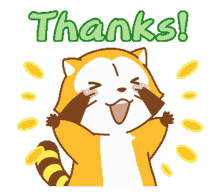 rascal raccoon thanks thank you grateful rascal raccoon thanks thank you grateful