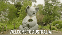 Welcome To Australia Koala GIF - Welcome To Australia Koala Amber Ruffin GIFs