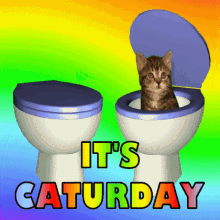 Its Caturday Its Saturday GIF - Its Caturday Its Saturday Weekend GIFs