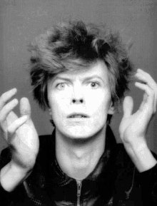 Bowie GIF - Bowie GIFs