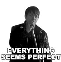 Everything Seems Perfect Brad Arnold Sticker - Everything Seems Perfect Brad Arnold 3doors Down Stickers