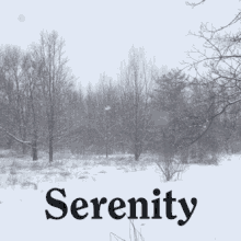 Serenity Snow GIF - Serenity Snow Winter GIFs