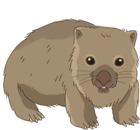 Wombat Common Wombat Sticker - Wombat Common Wombat Coarse Haired Wombat Stickers