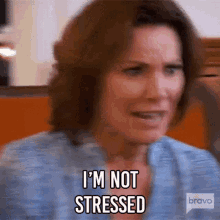 Im Not Stressed Real Housewives Of New York GIF - Im Not Stressed Real Housewives Of New York Rhony GIFs