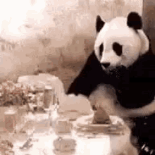 panda bill shocked ristorante conto
