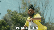 peace sign adam amin%C3%A9daniel amin%C3%A9 riri peace out