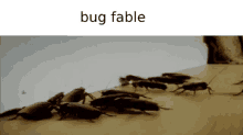 Bug Fables Cockroach GIF - Bug Fables Cockroach Funny GIFs
