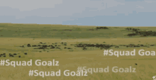 squadgoalz