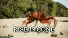 Rise Is Gone Crab GIF - Rise Is Gone Crab Crab Rave GIFs