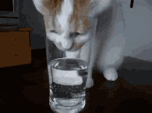 Thirst Is Real GIF - Water GIFs