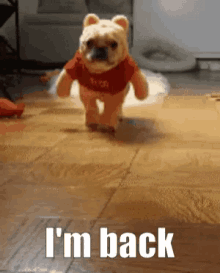 I Am Back Dog GIF - I Am Back Back Dog GIFs