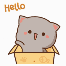 Hello Cute GIF - Hello Cute Cat GIFs