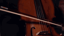 Cello Musical Instrument GIF - Cello Musical Instrument Music GIFs