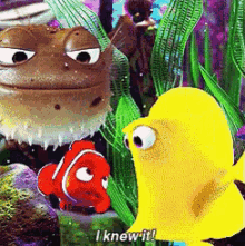 I Knew It GIF - Finding Nemo Nemo I Knew It GIFs