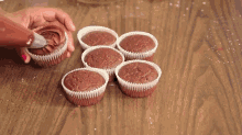 Vegan Chocolate Cupcakes GIF - Desserts Sweets Cupcake GIFs