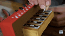 ibere accordeon