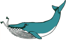 whale eating legs yoar help