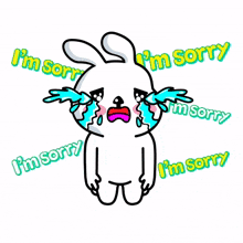 rabbit crying sad regretting i%27m sorry