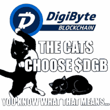 Cats Choose Dgb Digibyte GIF - Cats Choose Dgb Digibyte Memes GIFs