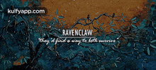ravenclawthey d