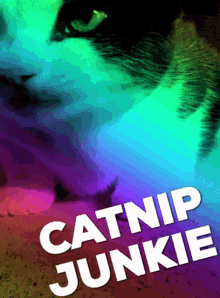 catnip cat junkie stoned