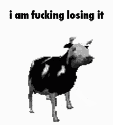Losing It Cow GIF - Losing It Cow GIFs