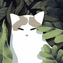 Cat Mewo GIF - Cat Mewo GIFs