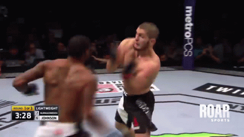 khabib-mj-ufc.gif