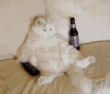 Chillin Beer GIF - Chillin Beer Hard Day GIFs