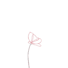 Simple Flower GIF - Simple Flower GIFs