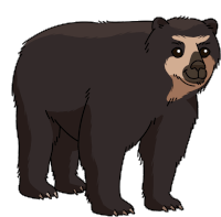 Bear Spectacled Bear Sticker - Bear Spectacled Bear Andean Bear Stickers