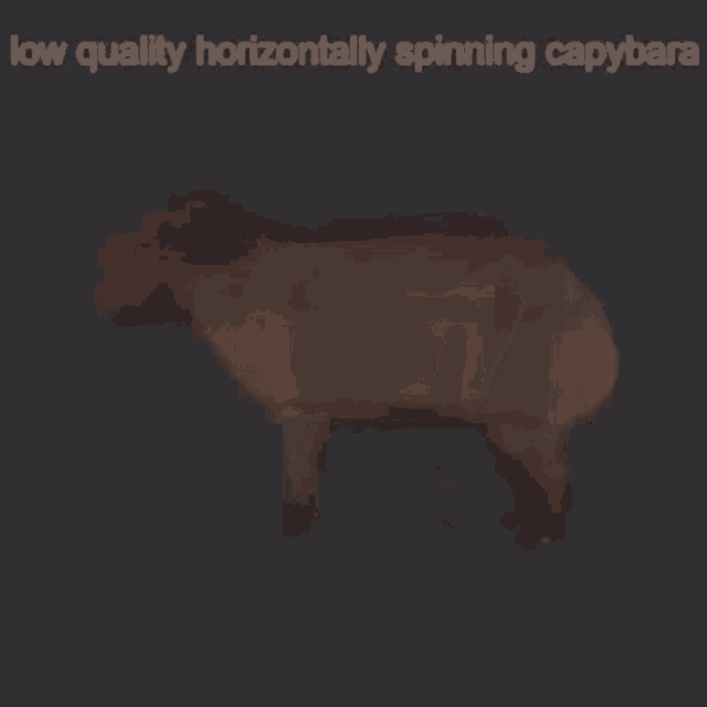 capybara-spin.gif