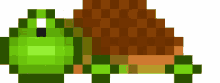 blackwight turtle pixelworlds