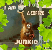 vec50 koffie i am a coffee junkie monkey love coffee