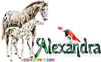 Alexandra Name Horses Sticker - Alexandra Name Alexandra Horses Stickers