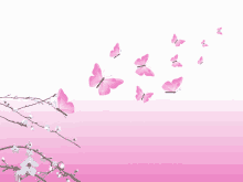 butterflies fly glitters pink