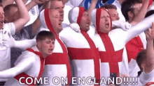 England Fans World Cup GIF - England Fans World Cup Come On England GIFs