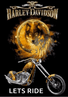 Wolf Harley Davidson GIF - Wolf Harley Davidson Bike GIFs