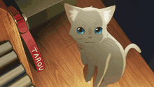 A Whiskers Away Cat GIF - A Whiskers Away Cat Cute GIFs