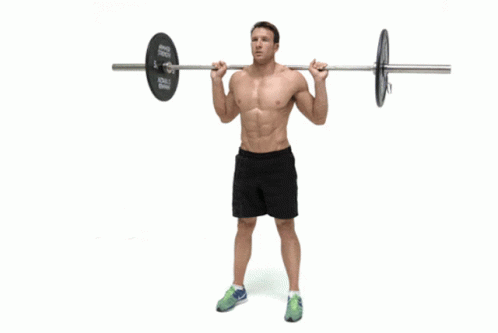 https://tenor.com/view/workouts-squats-gif-24035556