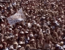Crowd Audience GIF - Crowd Audience Fans GIFs